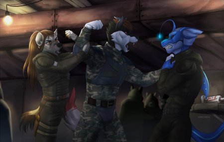 Фурри милитари