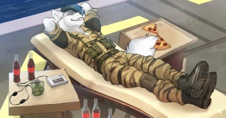 Фурри милитари арт