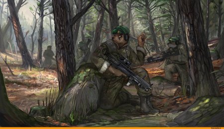 Фурри военные