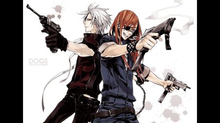 Dogs stray howling in the dark