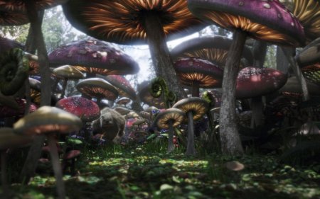 Алиса в стране чудес грибы