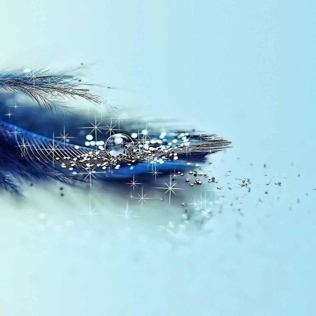 Красивое перо