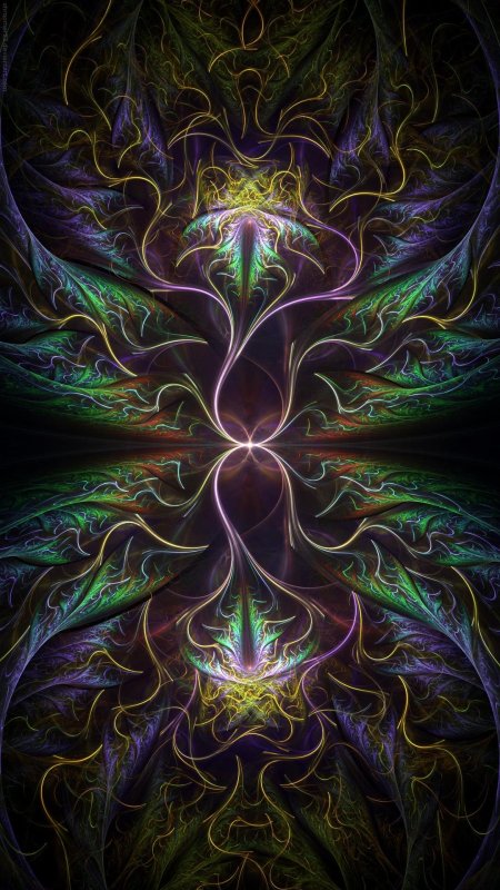 Фрактальное видение