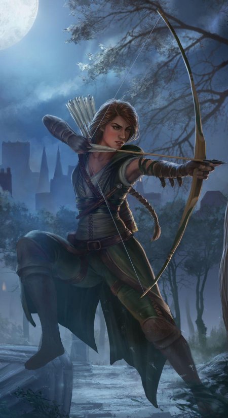 Фэнтези стрелок