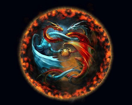 Инь янь дракон