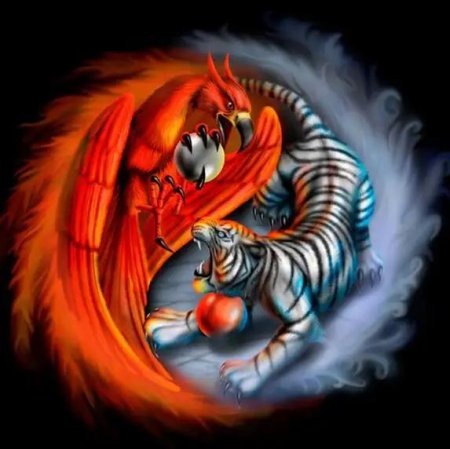 Инь янь дракон и тигр