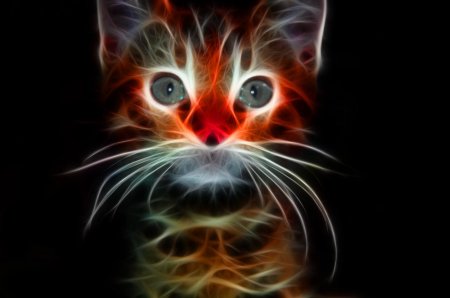 Кот фрактал