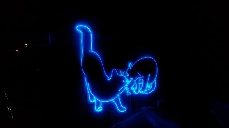 Неоновая кошка