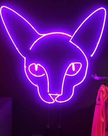 Неоновые животные