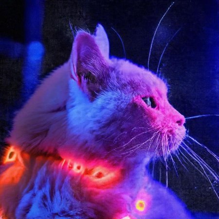 Неоновые коты
