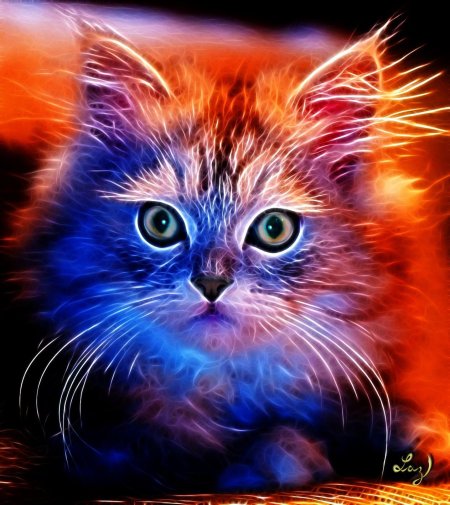 Неоновая кошка