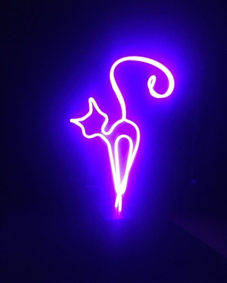 Неоновые светильники