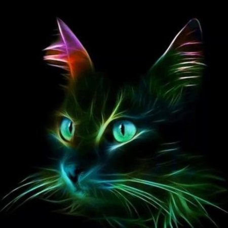 Светящиеся кошки