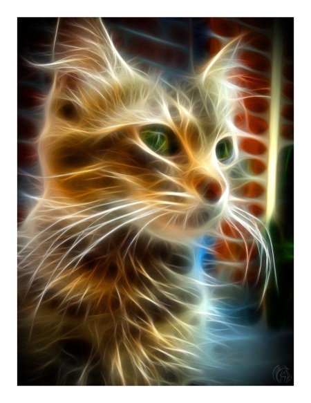 Фрактальный кот