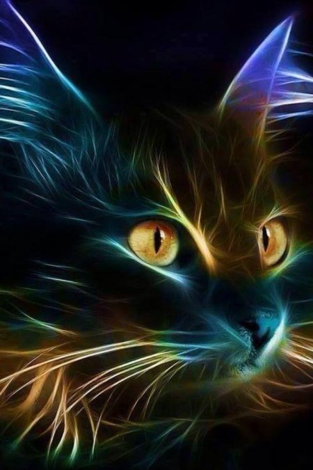 Неоновый кот алмазная мозаика