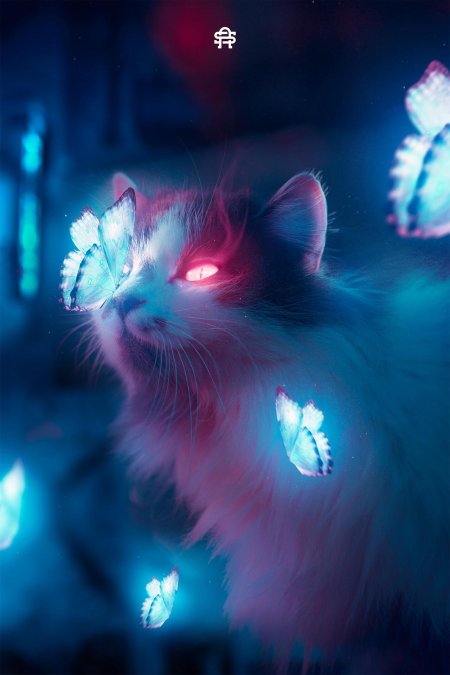 Неоновый кот