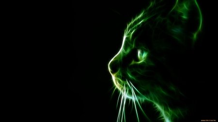 Неоновые коты
