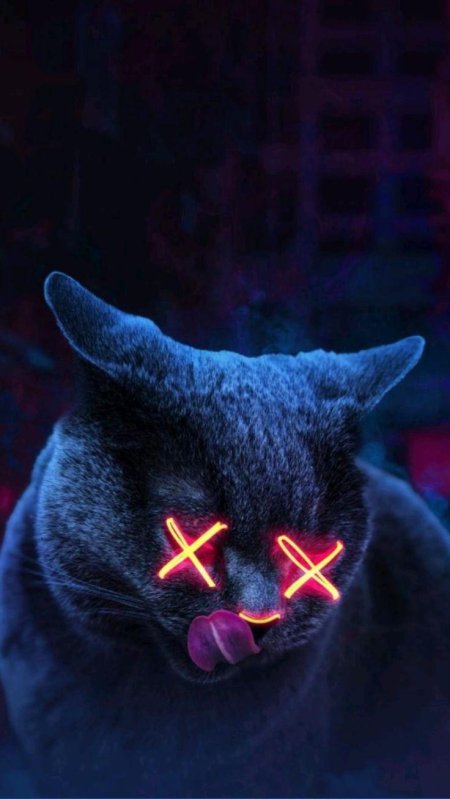 Кошка неон