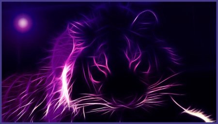 Фиолетовый тигр