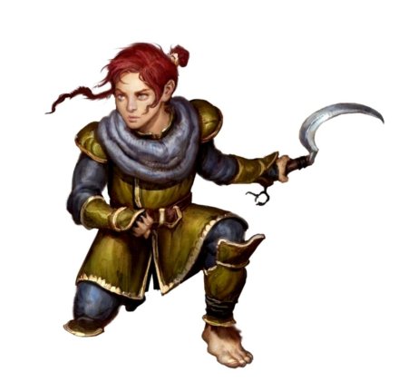 Полурослик плут днд