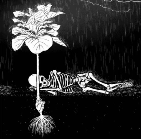 Скелет эстетика