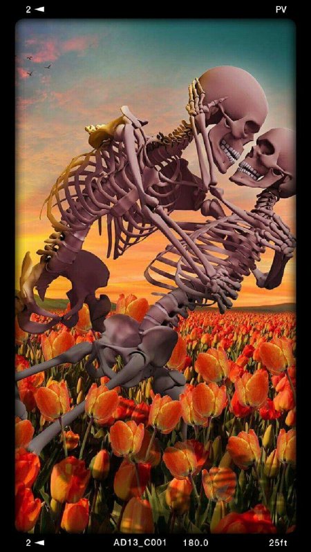 Скелеты в искусстве