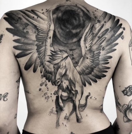 Тату пегас