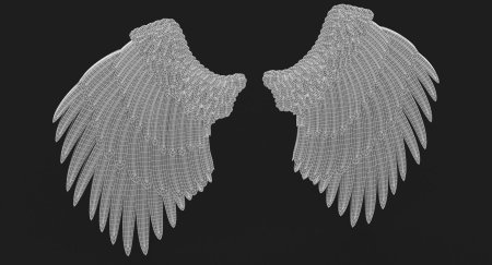 Wing 3d model