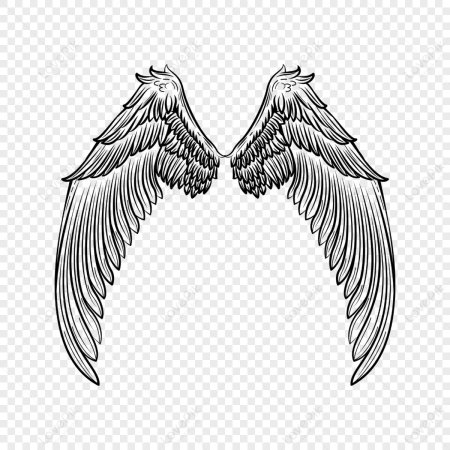 Крылья черно белые