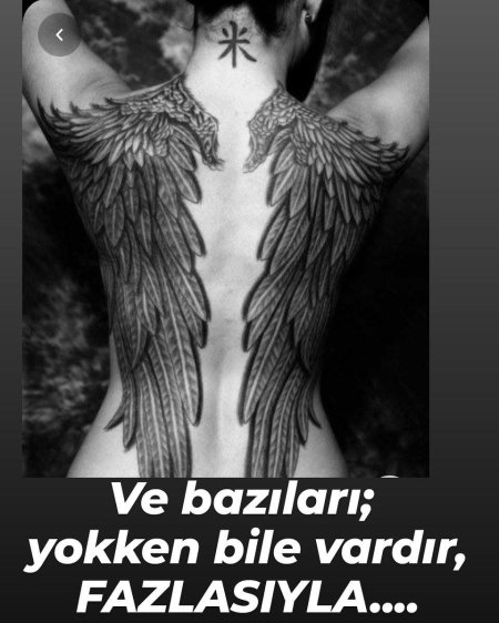 Крылья на спине тату