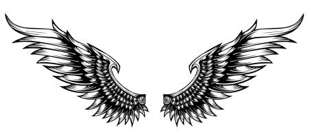 Крылья эскиз