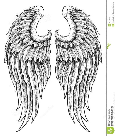 Крылья эскиз