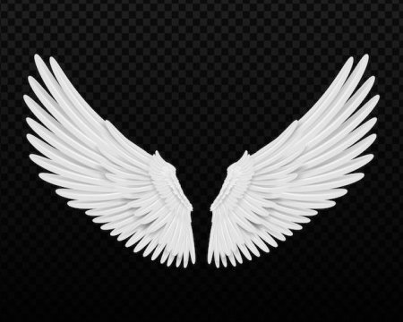 Белые крылья ангела на черном фоне