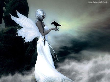 Белые ангелы