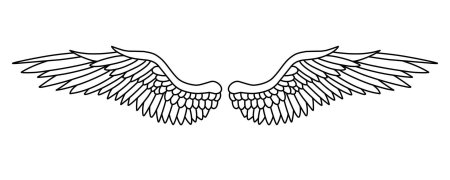 Крылья эскиз