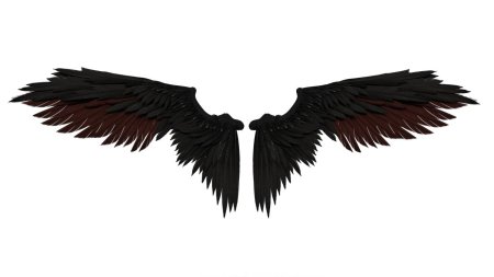 Крылья черные