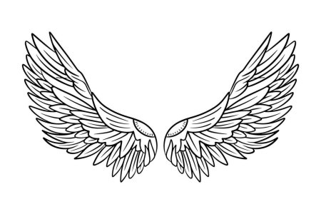 Крылья эскиз