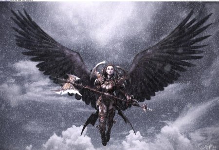 Падшая валькирия