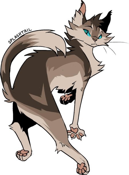 Ashfur коты воители