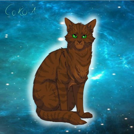 Коты воители алозвёзд