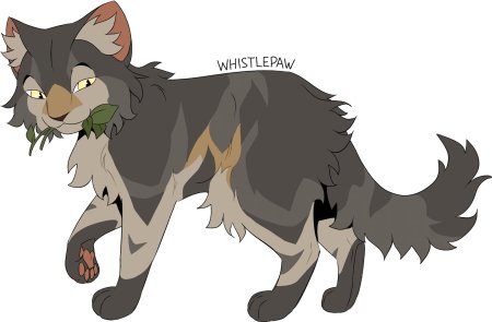 Кот воители