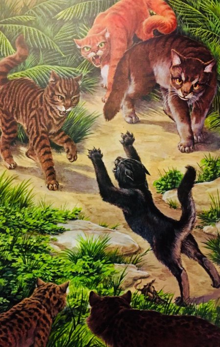 Коты воители эрин хантер книга