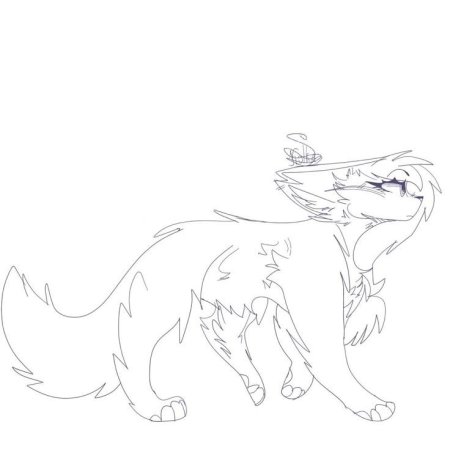 Коты воители лайн