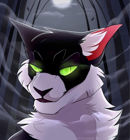 Костяк коты воители