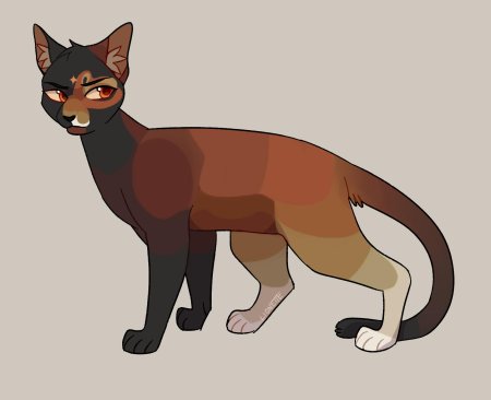 Коты воители дымка