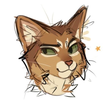 Коты воители звездоцап