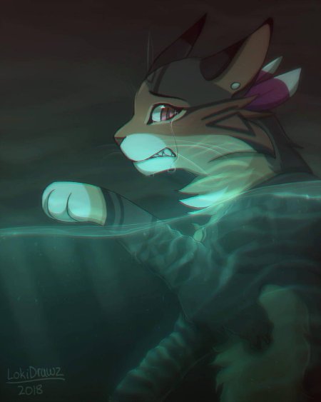 Коты воители локи