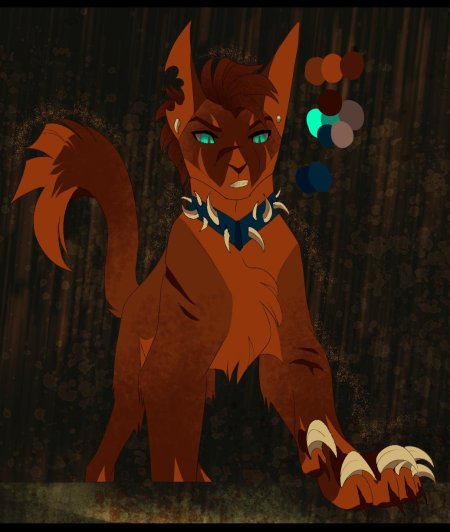 Maplespyder коты-воители