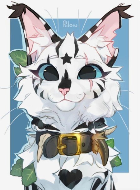 Кот воитель арт