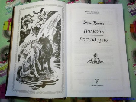 Коты воители золотая коллекция полночь